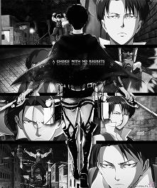 Levi *,*