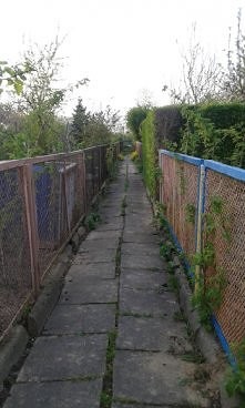 #1

Wszystkie zdjęcia są robione przeze mnie