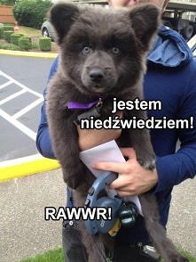 RAWWR! ;)