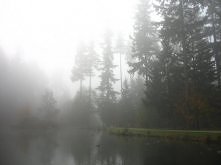 Autumn Fog at Burnaby Central Park III, 10-18-2013