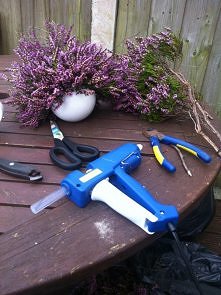 wrzosowa kula :)
styropiano...