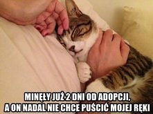 jakie to słodkie *o*
