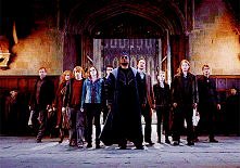 The Order of the Phoenix<3
