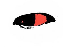 miej oko na wszystko ;)