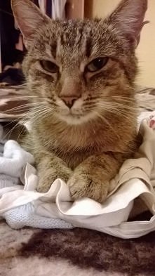 Troszkę jej się nie spodobała sesja :v