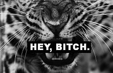 Bitch :)