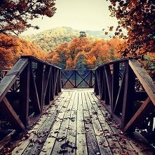 jak można nie kochać jesieni?