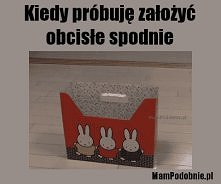 kicia