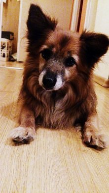 "Nic nie zrobiłem&quot...