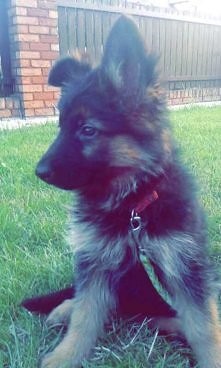 moja miłość<3 ma ponad 4...