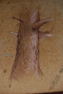 format A6 
szybki rysunek k...