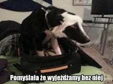 Jakie biedactwo...:)