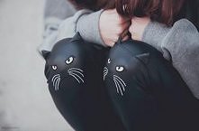kotki :)
