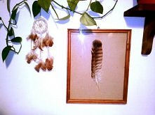 wykorzystanie starej ramy i...