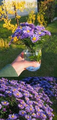 Idealne na Jesienny stół :)