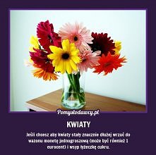 Kwiaty