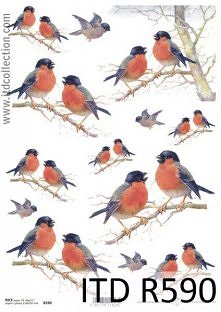 papier ryżowy na np. świąte...