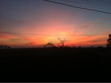 dzisiejszy śliczny poranek ^^