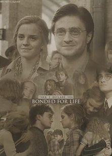 Nawet J.K. Rowling stwierdziła, że to oni powinni być razem <3