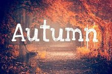 autum<3