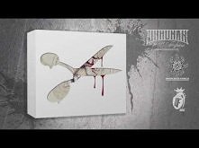 CD1:08. SŁOŃ/MIKSER - CHCWD...