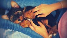 Moja <3