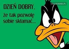 Dzień dobry