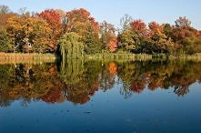 Złota polska jesień