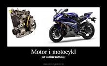 Drodzy państwo to jest ogro...