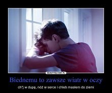 jeszcze  kij w oko i kamień pod noge