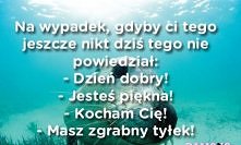 :pp