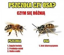 Różnica