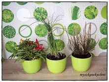 myszkawkuchni.blogspot.com