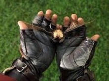 Bo tak naprawdę, teraz jestem w Hogwarcie, a przed komputerem siedzi mój klon :D