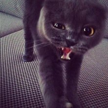 but first LET ME TAKE A SEL...