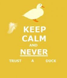 "krwiożercze, małe bes...