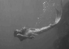 mermaids ?