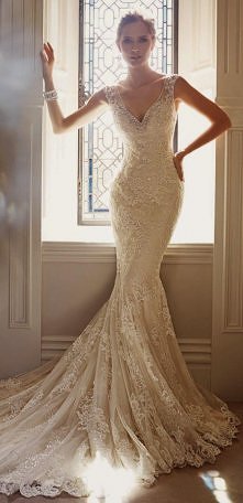 Sophia Tolli
