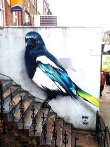 Ten ptak to chyba nie odlatuje na zimę :D