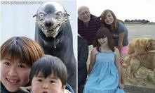 mistrzowie drugiego planu.