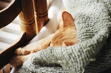 'Twoje serce jest tam gdzie twój skarb. Musisz odnaleźć ten skarb, aby wszystko nabrało sensu'