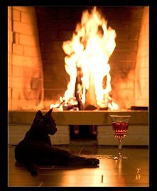 Na mroźne dni kominek to podstawa <3