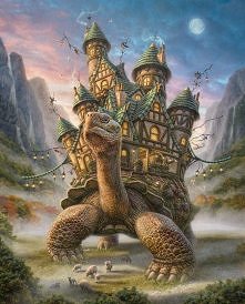 TURTLE AND HOME= IDEALNE PO...