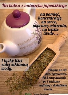 miłorząb japoński