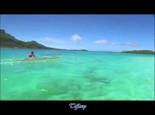 Wind Of Hope ~ Eugenia Vlasova feat. Andru Donalds