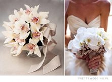 bukiet ze storczyków