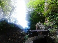 Wrzący Staw w Kaletach, w powiecie Tarnowskie Góry