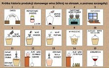 Jak zrobić domowe wino:)