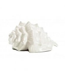 Muszla morska dekoracyjna