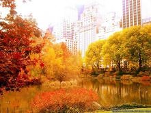 Central Park jesienią :)